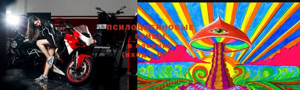 марихуана Абаза