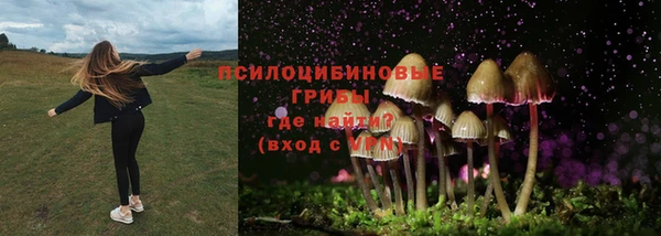 марихуана Абаза