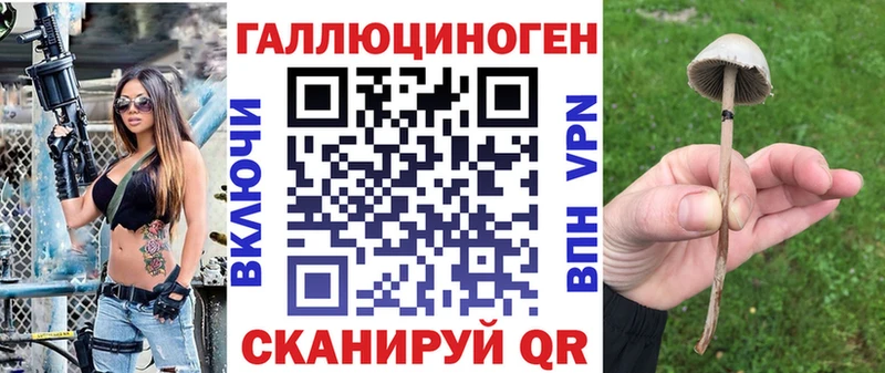 МЕГА онион Хасавюрт Галлюциногенные грибы Psilocybe