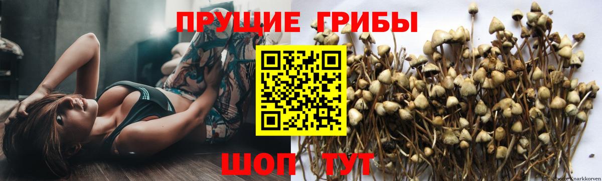 Галлюциногенные грибы мицелий Хасавюрт