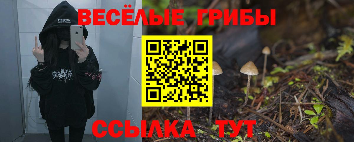 Галлюциногенные грибы мицелий  Псилоцибиновые грибы Cubensis  Хасавюрт  Вход с VPN 